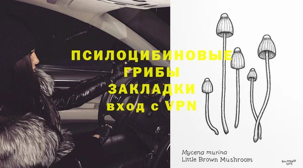 спайс Алзамай
