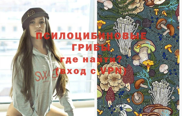 кокс Алексеевка